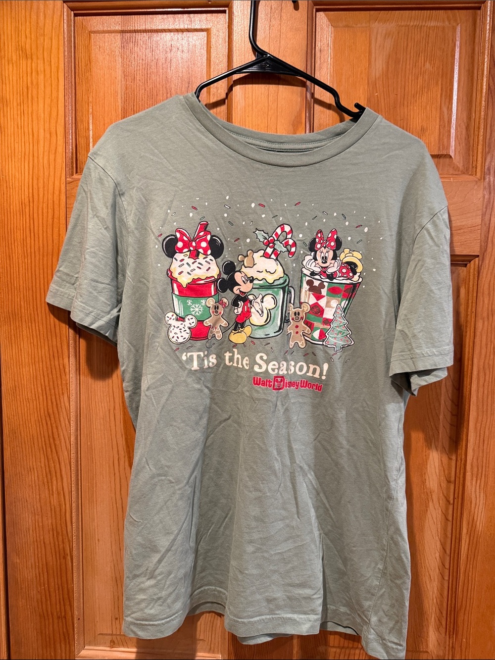 Disney women’s Christmas holiday short sleeve shirt size medium.